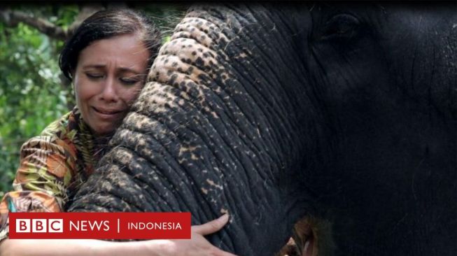 Kisah Penyelamat Gajah di Kuil India: Penyiksa Teteskan Air Mata Buaya