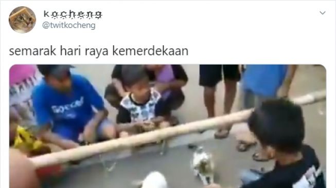 Tiga ekor kucing ikut lomba makan ikan saat perayaan HUT RI. - (Twitter/@twitkocheng)