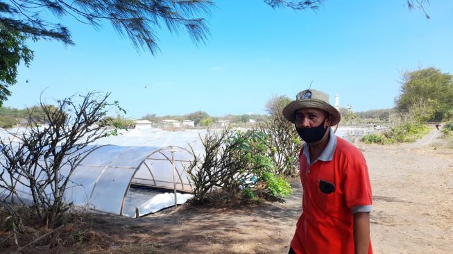 Seorang petani garam yang berada di Pedukuhan Noroto, Desa Gadingsari, Kecamatan Sanden, Bantul, Selasa (18/8/2020). (Suara.com/Hiskia)