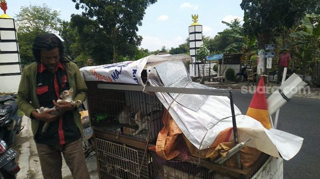 Hidup di Jalanan, Pemulung di Jogja Masih Rela Rawat Kucing Liar yang Sakit