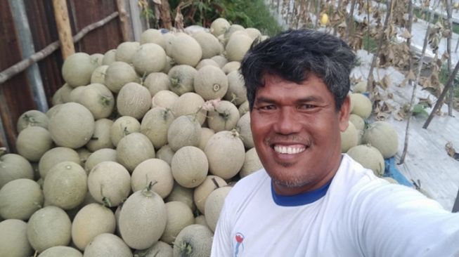 Bermodal Baca Buku Gratisan, Petani Melon Ini Raup Omzet Ratusan Juta