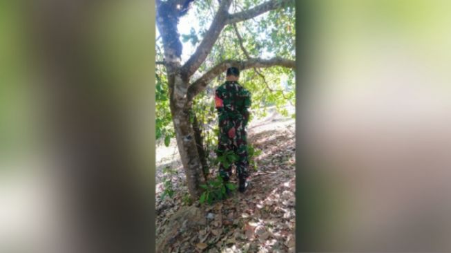 Anggota Babinsa Ditemukan Tewas Tergantung di Pohon Jambu Mete