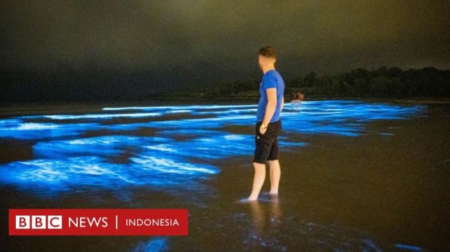 Cahaya Plankton Membuat Pesisir Pantai Irlandia Berkilau