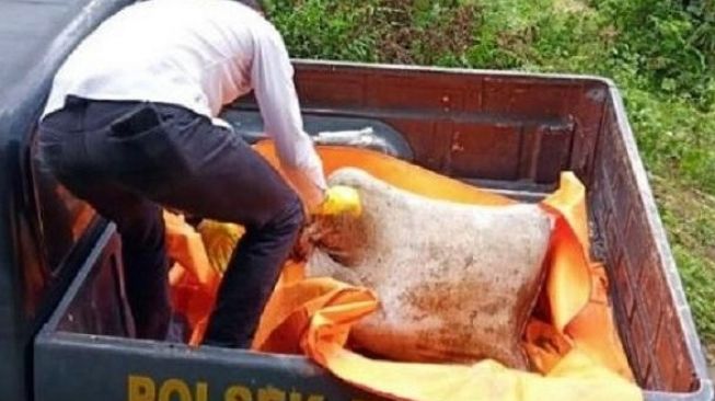 Buka Karung Berisi Mayat Pria, Polisi Temukan Batu Koral Seberat 15 Kg