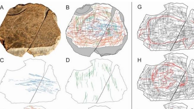 Analisa guratan pada permukaan batu yang ditemukan di Jersey, kawasan Guernsey and Jersey, Britania Raya. [S Bello et al/PLOS One/2020 via IFL Science].