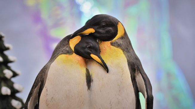Ilustrasi pasangan penguin. (Pixabay/Capri23auto)