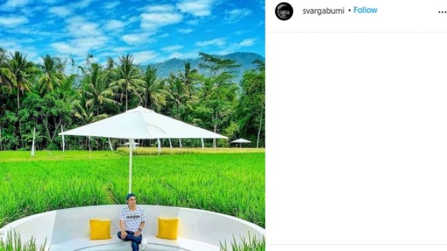 Viral Wisata Persawahan Instagramable di Magelang, Sekilas Bak Pulau Dewata. (Instagram/@svargabumi)