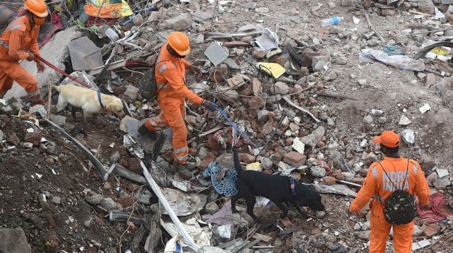 Petugas penyelamat dibantu anjing pelacak mencari korban di reruntuhan gedung apartemen yang ambruk di Mahad, India, Selasa (25/8). [Punit PARANJPE / AFP]