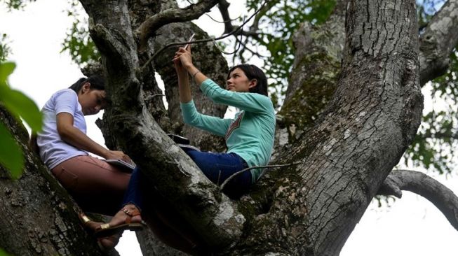 Demi Sekolah Online, Dua Remaja Rela Naik Gunung  dan Panjat Pohon