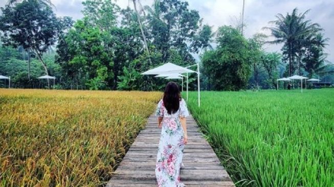 Svarga Bumi, destinasi wisata bak area persawahan Ubud kini ada di Magelang. (Instagram/@svargabumi)