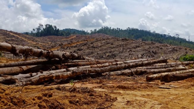 Melawan Opini Sesat "Katanya Tidak Ada Tanah Adat di Kinipan"