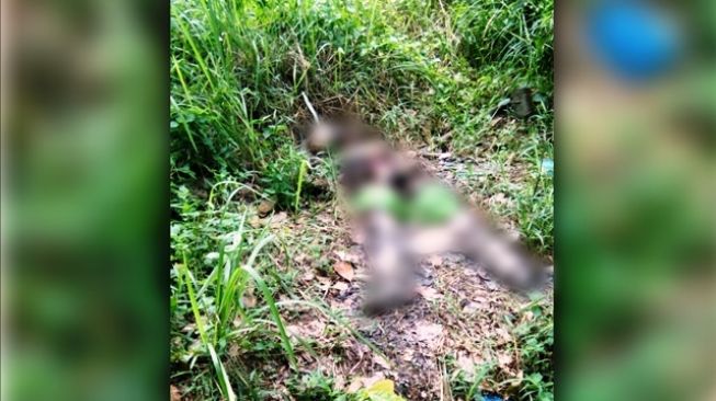 Sebulan Hilang, Nenek Pikun Tewas di Pinggir Jalan, Mayat Tinggal Tengkorak