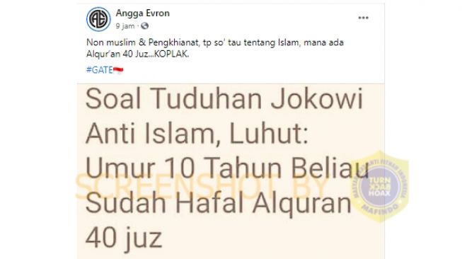 Cek Fakta: Benarkah Luhut Angkat Bicara Soal Tuduhan Jokowi Anti Islam?