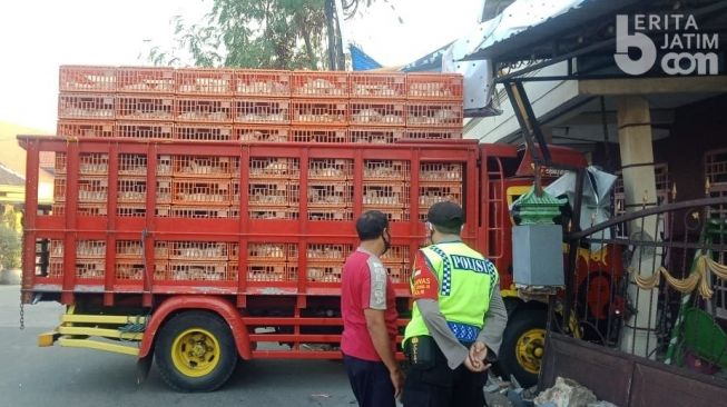 Truk Pengangkut Ayam Tabrak Pagar Rumah Warga, Sopir Diduga Mengantuk