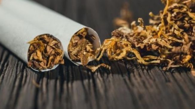 Bea Cukai Kudus Ungkap Penjualan Rokok Ilegal, Modusnya Bikin Geleng-geleng