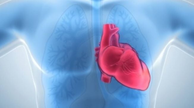 Ini Hal yang Perlu Anda Ketahui tentang Kematian Mendadak akibat Jantung
