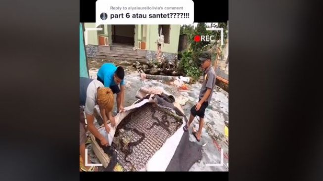 Puluhan ular bersarang di bawah kasur yang tak terpakai. (Tiktok/@kimberlykhan6)