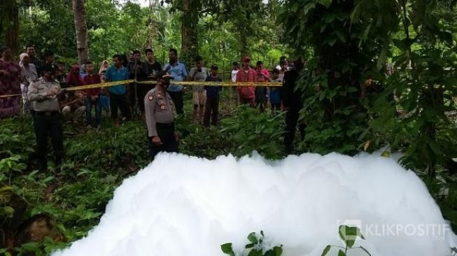 Warga Sijunjung Digegerkan Fenomena Buih Putih di Kebun