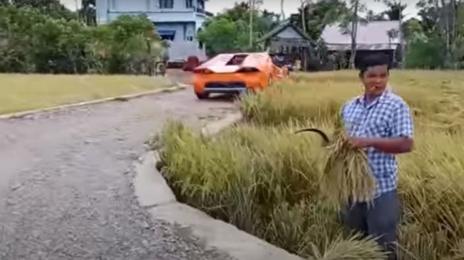 Sebuah video bikin heboh karena seorang petani di Aceh mengangkut padi menggunakan supercar Lamborghini. (youtube EJ LAMBO)