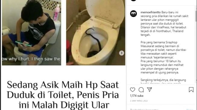 Ular Nongol dari Lubang WC, Penis Remaja Digigit saat BAB Sambil Main HP