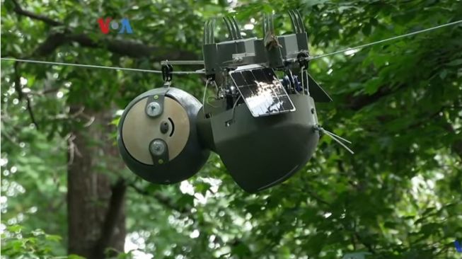 Slothbot, Robot Kungkang untuk Membantu Konservasi