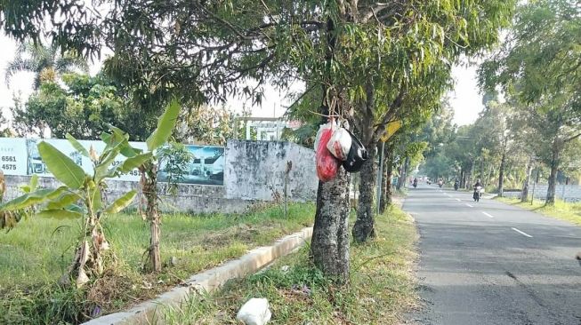 Viral Tumpukan Sampah Digantung di Pohon, Begini Respon DLH Sleman