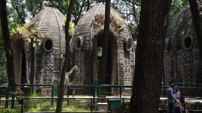 Warga melihat satwa saat berkunjung di Taman Margasatwa Ragunan, Jakarta, Minggu (13/9/2020).  [ANTARA FOTO/Indrianto Eko Suwarso]
