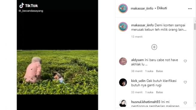 Demi Konten Sampai Merusak Kebun Teh Orang, Perempuan ini Panen Kecaman