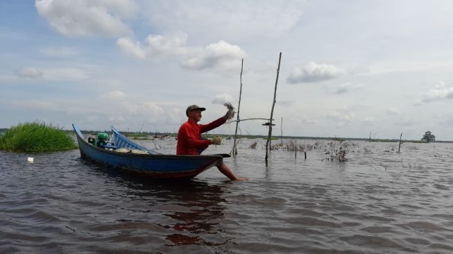 Om Hendra, Ketua Nelayan Muara Enggelam menunjukkan hasil buruannya di Danau Enggelam