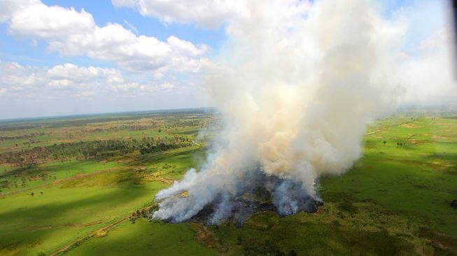 Foto udara kebakaran hutan dan lahan di Kabupaten Tapin, Kalimantan Selatan, Selasa (5/9/2020). [ANTARA FOTO/Bayu Pratama]