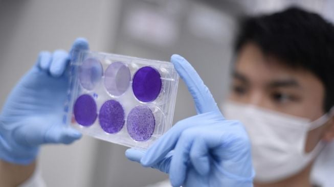 Bulan Depan, Biofarma Terima 15 Juta Dosis Bulk Vaksin Sinovac Dari China