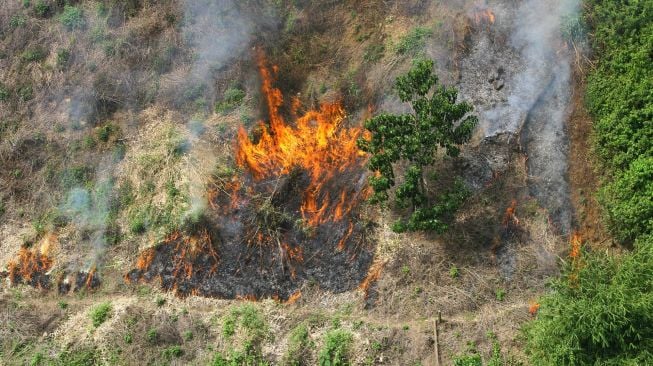 Foto udara kebakaran hutan dan lahan di Pegunungan Meratus, Kabupaten Balangan, Kalimantan Selatan, Selasa (5/9/2020).  [ANTARA FOTO/Bayu Pratama]