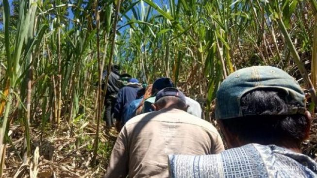 Hilang 2 Hari, Seorang Pria Ditemukan Meninggal di Agam