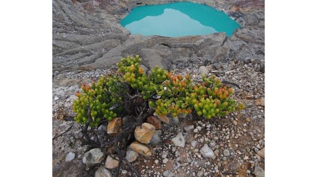 Fenomena Langka! Danau Kawah Gunung Dempo Berubah Warna Jadi Abu-abu