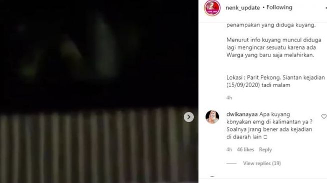 Viral Penampakan Sosok Misterius di Atas Pohon, Netizen Penasaran