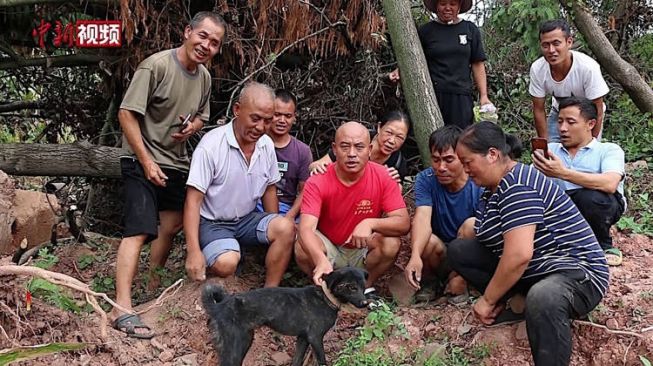 Terkubur Puing Longsor 37 Hari, Anjing Ini Bikin Heboh Masyarakat