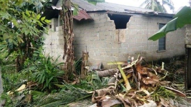 Braaaak! Pohon Kelapa 27 Meter Timpa Rumah di Teluk Mata Ikan