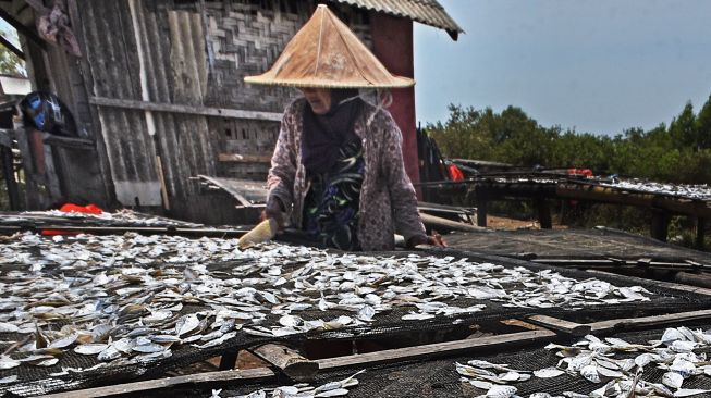 Nelayan menjemur ikan asin di Pelabuhan Perikanan Nusantara (PPN) Karangantu, Serang, Banten, Kamis (17/9/2020). [ANTARA FOTO/Asep Fathulrahman]