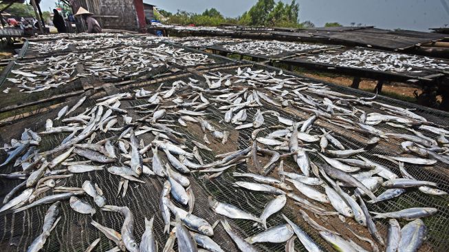 Nelayan menjemur ikan asin di Pelabuhan Perikanan Nusantara (PPN) Karangantu, Serang, Banten, Kamis (17/9/2020). [ANTARA FOTO/Asep Fathulrahman]