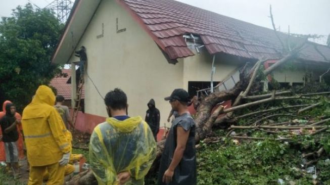 Pohon tumbang timpa sekolah (ist)