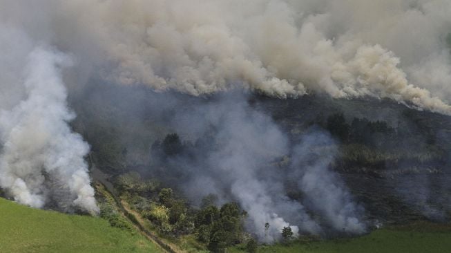 Foto udara kebakaran hutan dan lahan di Kabupaten Tapin, Kalimantan Selatan, Selasa (15/9/2020). Berdasarkan data Badan Penanggulangan Bencana Daerah (BPBD) Provinsi Kalimantan Selatan hutan dan lahan yang terbakar mengalami penurunan dibandingkan tahun lalu dari Januari hingga 13 September 2020 mencapai 103,12 hektare dan masih terus meluas. [ANTARA FOTO/Bayu Pratama S]