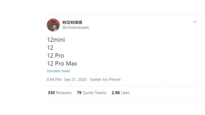 Bocoran hadirnya iPhone 12 Mini. [Twitter]