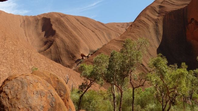 Kawasan Uluru atau Ayers Rock. (Pixabay/falco)