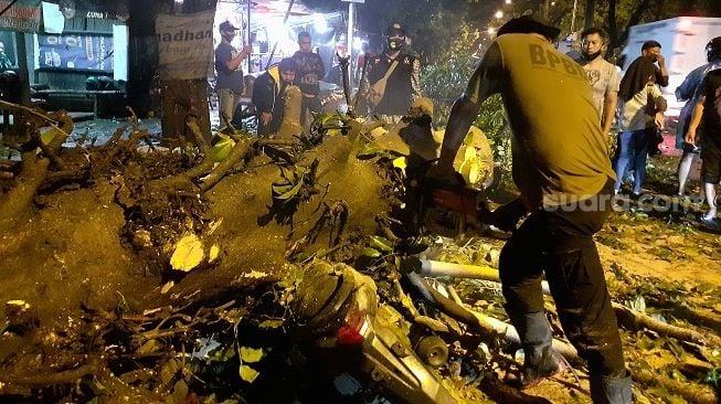 Bogor Dilanda Hujan Angin, 8 Motor Tertimpa Pohon Tumbang