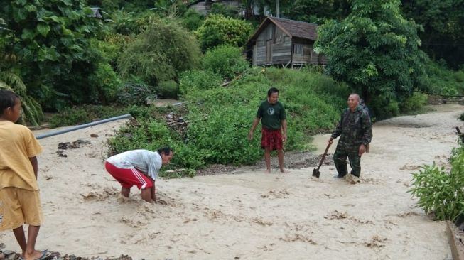 Mitigasi Vegetasi Cara Jayapura dan Banyumas Kurangi Risiko Bencana