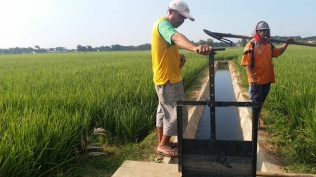 Irigasi Termasuk dalam Water Management yang Bisa Dukung Kegiatan Pertanian