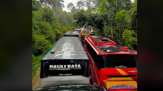 Potret Kemacetan di Jalur Hutan Sumatera, Bus Berjajar Rapat Penuhi Jalan