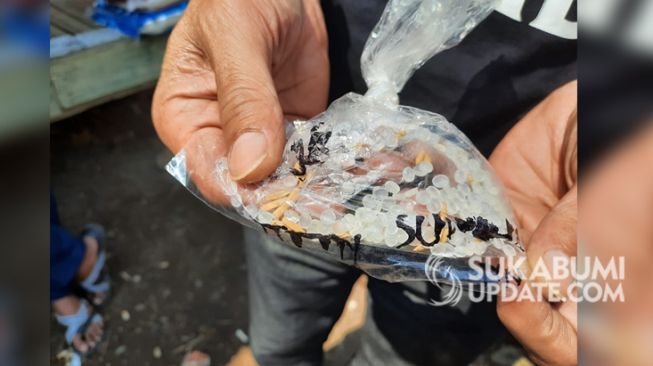 Biji plastik yang ditemukan di Desa Sukaratu Kecamatan Bojongpicung. | Sumber Foto:Deden Abdul Aziz