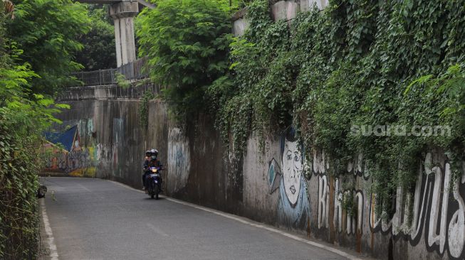 Tanaman liar merambat di dinding - dinding menghiasi sepanjang jalan Terowongan Dipo KRL di Pancoran Mas, Depok, Jawa Barat, Sabtu (26/9). [Suara.com/Alfian Winanto]