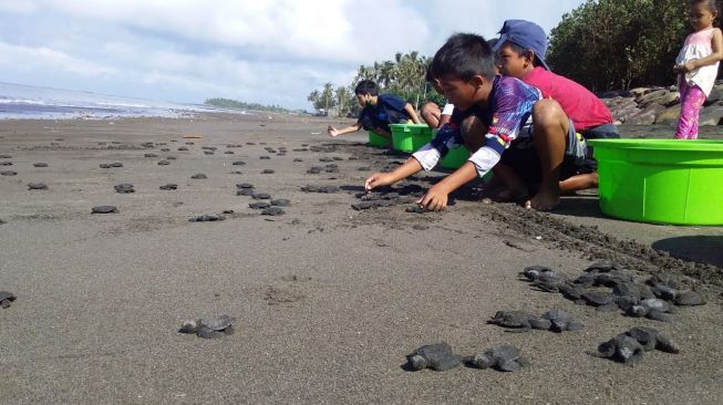 Anak-anak melakukan pelepasliaran tukik di Perancak, Bali [Dok PT Astra-Daihatsu Motor].